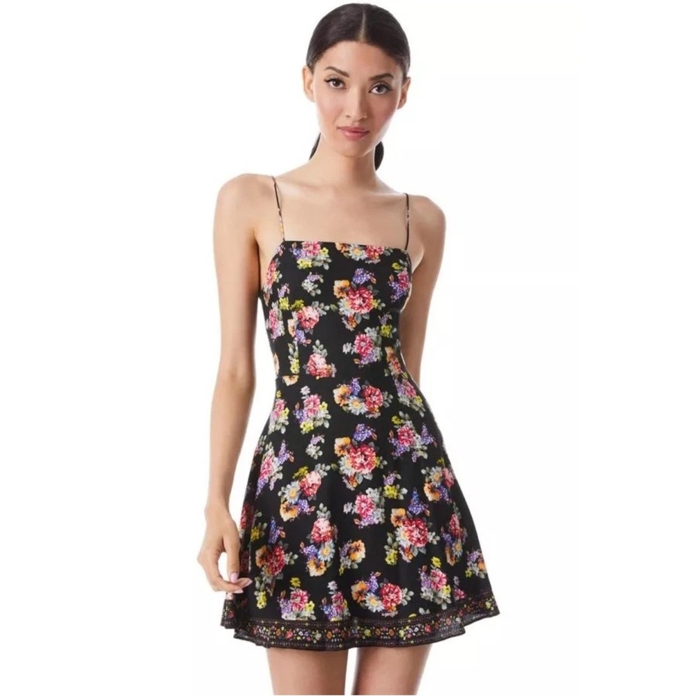 Beautiful Alice and Olivia dress
